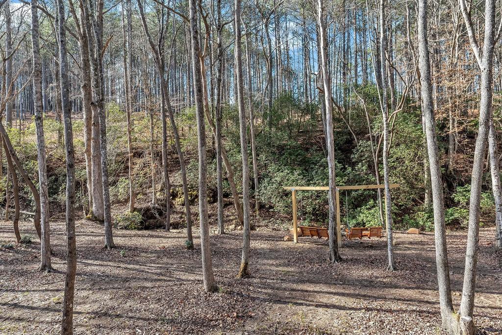 246 Woodward Way Talking Rock, GA 30175 - Photo 37 of 39 a backyard of a house with lots of green space