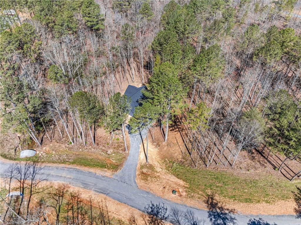 246 Woodward Way Talking Rock, GA 30175 - Photo 39 of 39 a view of a yard with large trees
