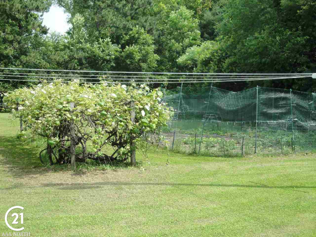 71100 Dequindre Road Romeo, MI 48065 - Photo 28 of 29 Gallery Image 28