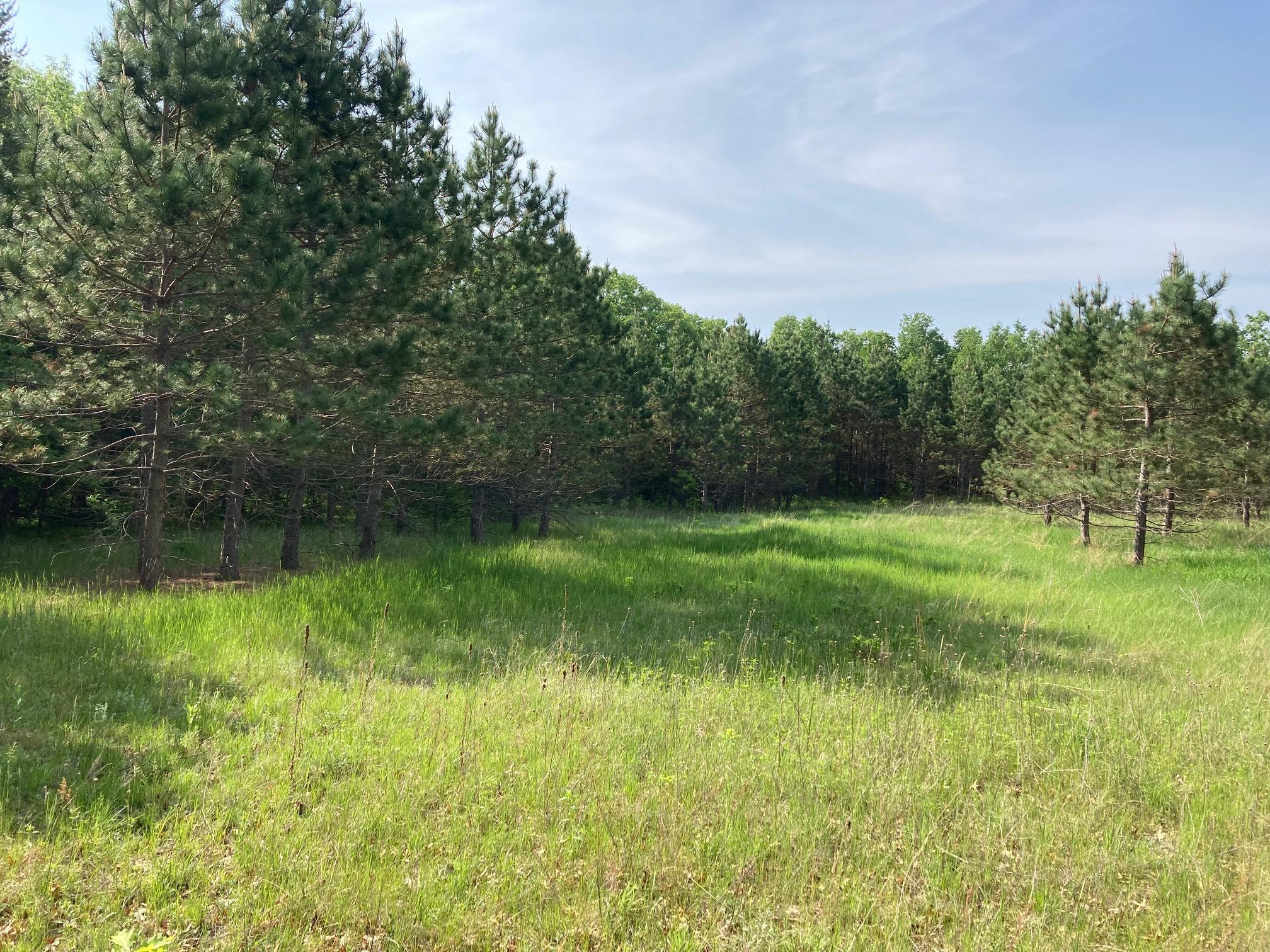 Lot 5 Fawn Lake Road Pequot Lakes, MN 56472 - Photo 1 of 10 Gallery Image 1