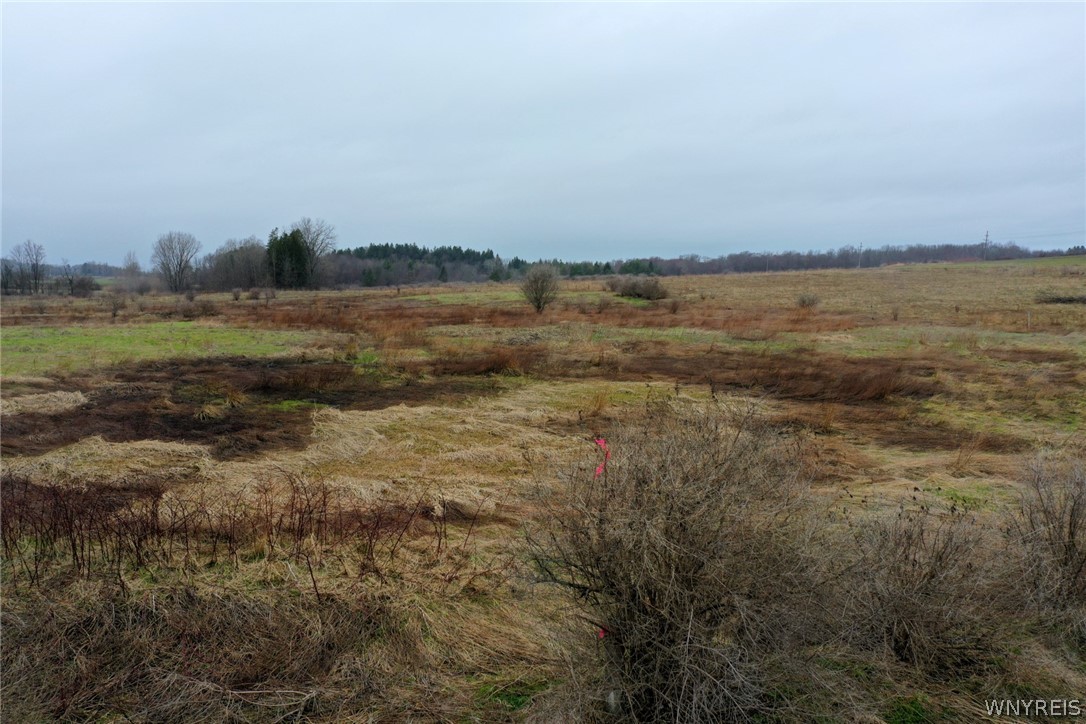 0 Alleghany Road Corfu, NY 14036 - Photo 11 of 11