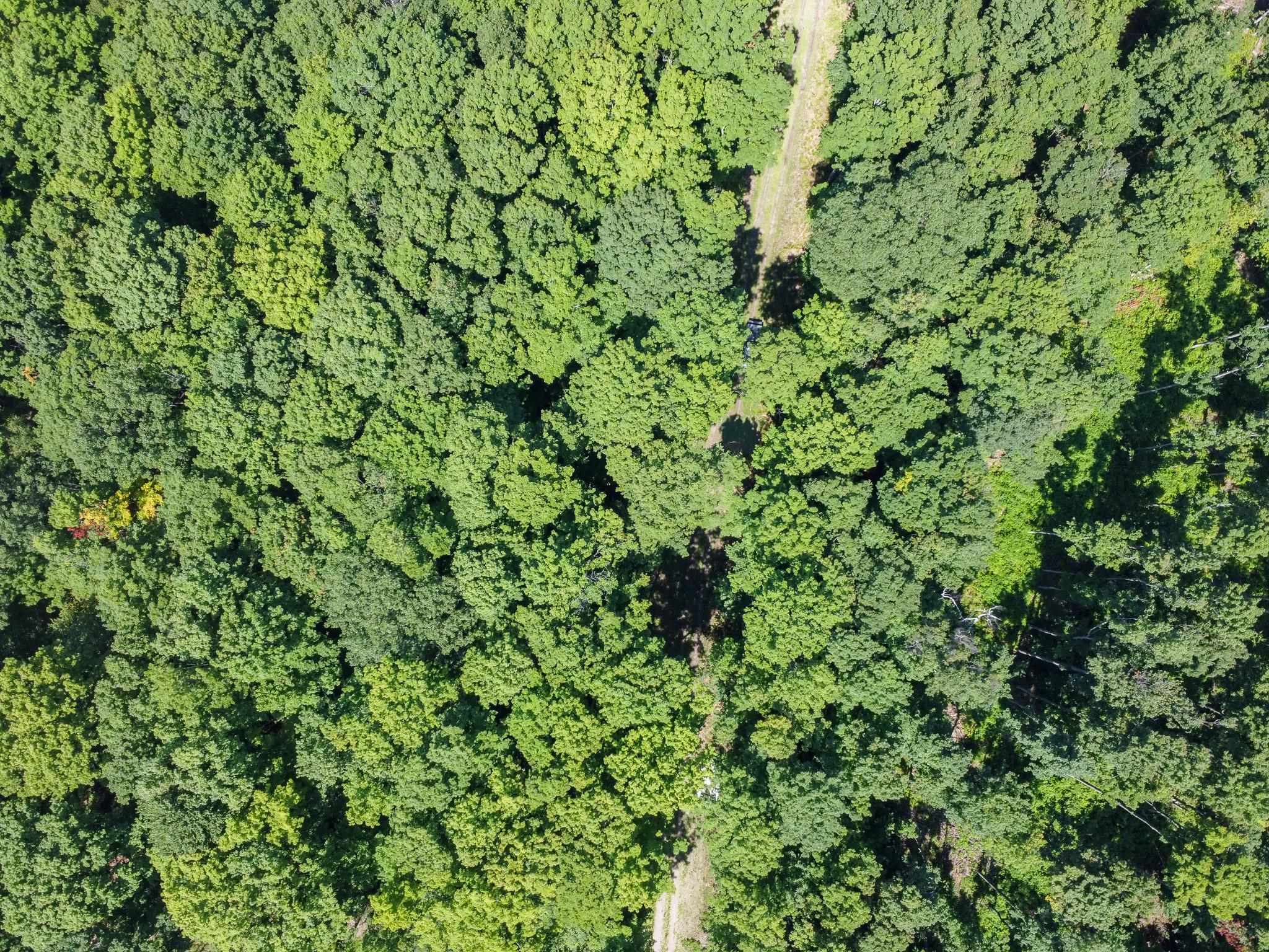0 Tompkins Wds Road Traverse City, MI 49686 - Photo 25 of 45 Gallery Image 25