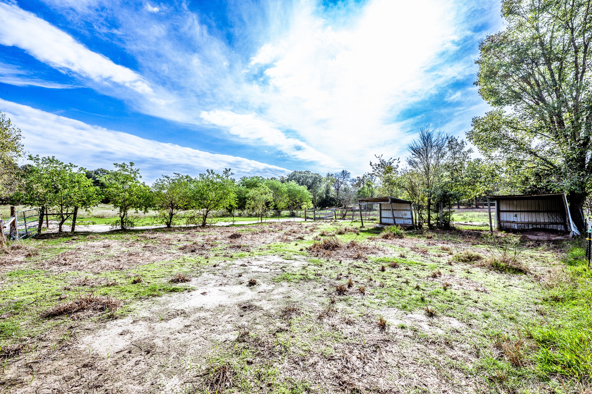 290 Townley Ranch Road Huntsville, TX 77320 - Photo 41 of 50