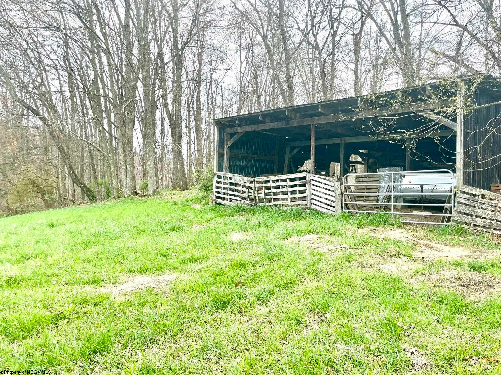 Tbd McCanns Run Road Jane Lew, WV 26378 - Photo 11 of 36 Gallery Image 11