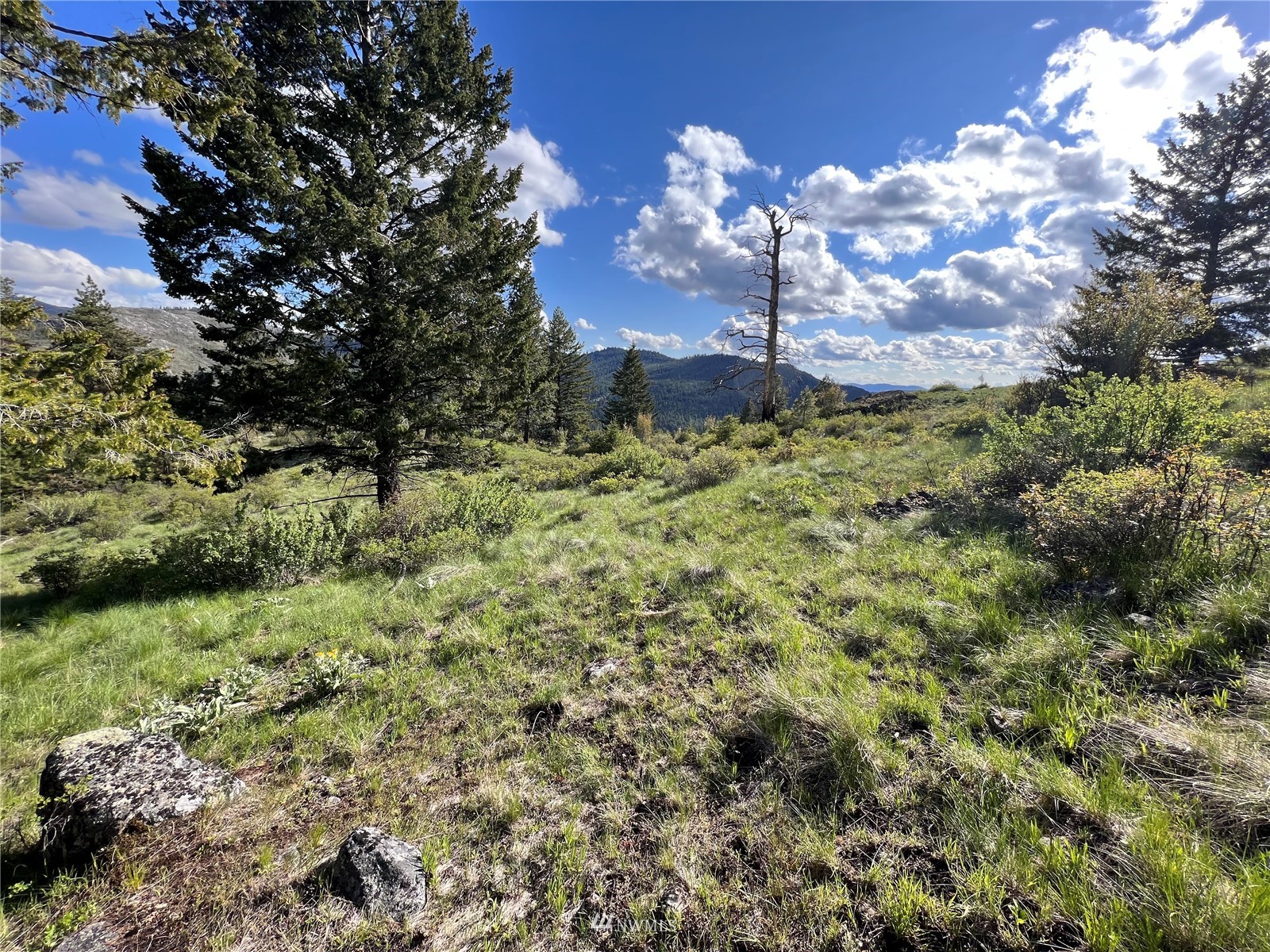 33 Wildman Road Republic, WA 99166 - Photo 23 of 26 Gallery Image 23