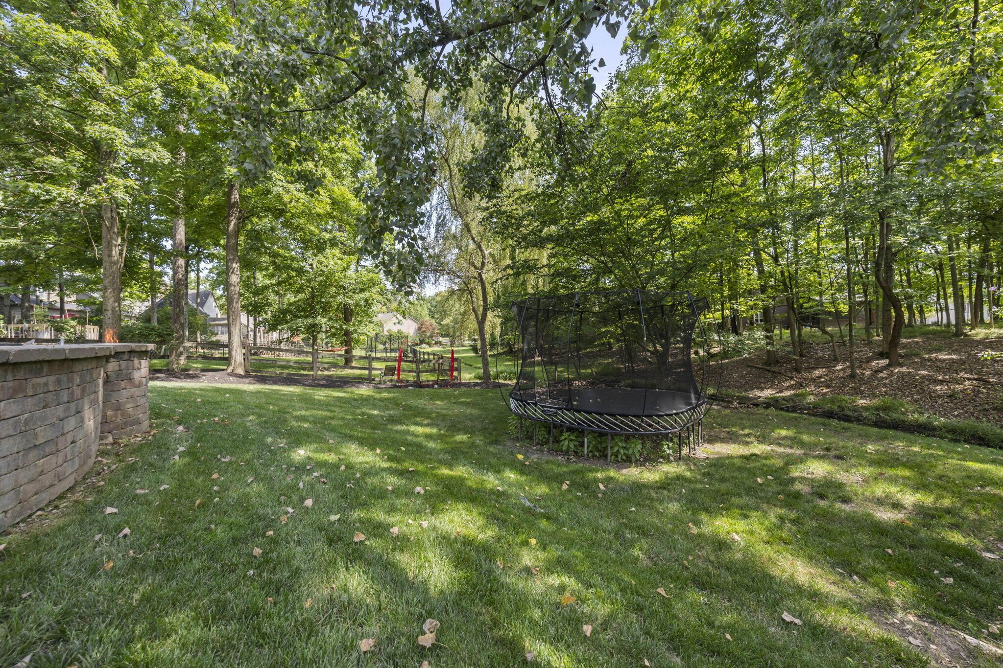 222 Beech Ridge Drive Powell, OH 43065 - Photo 62 of 82 61-web-or-mls-ID8A7367