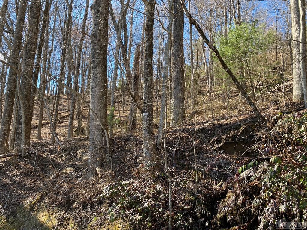 Lot 10 Tower Road Sapphire, NC 28774 - Photo 7 of 23 Gallery Image 7