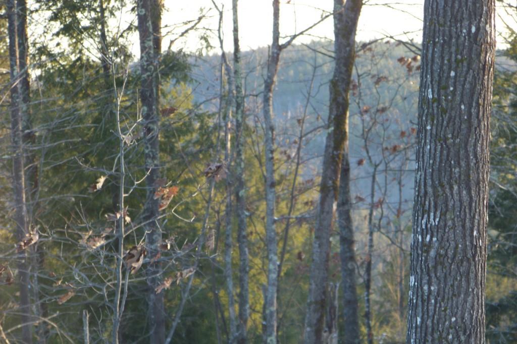 Lot #24 Foxes Ridge Road Acton, ME 04001 - Photo 9 of 17 Photo