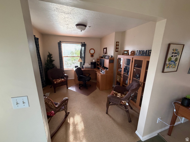 10000 North 6730th East Spring City, UT 84662 - Photo 11 of 31 Versatile room featuring a window with blinds, carpeted flooring, and a ceiling-mounted light fixture