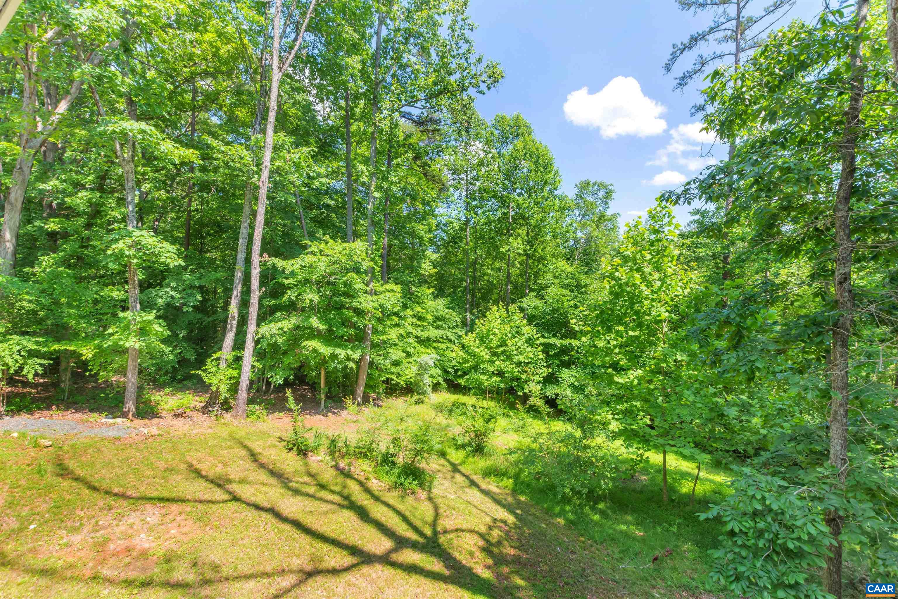7709 Secretarys Sand Road Schuyler, VA 22969 - Photo 47 of 56 Gallery Image 47