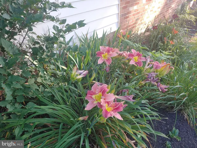 $699,997 | 19321 Olney Mill Road, Olney, MD 20832