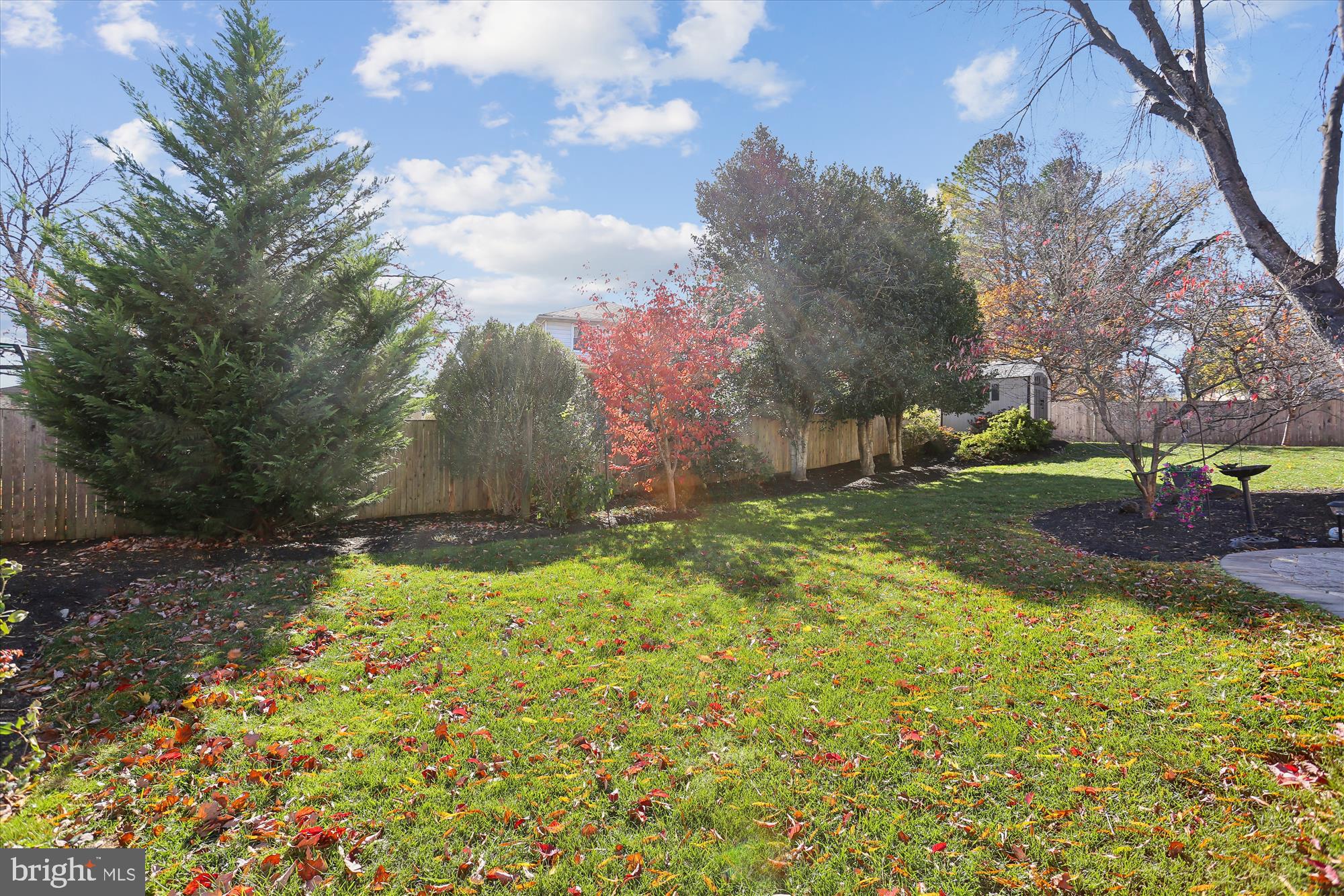 19321 Olney Mill Road Olney, MD 20832 - Photo 42 of 91 a view of backyard with green space