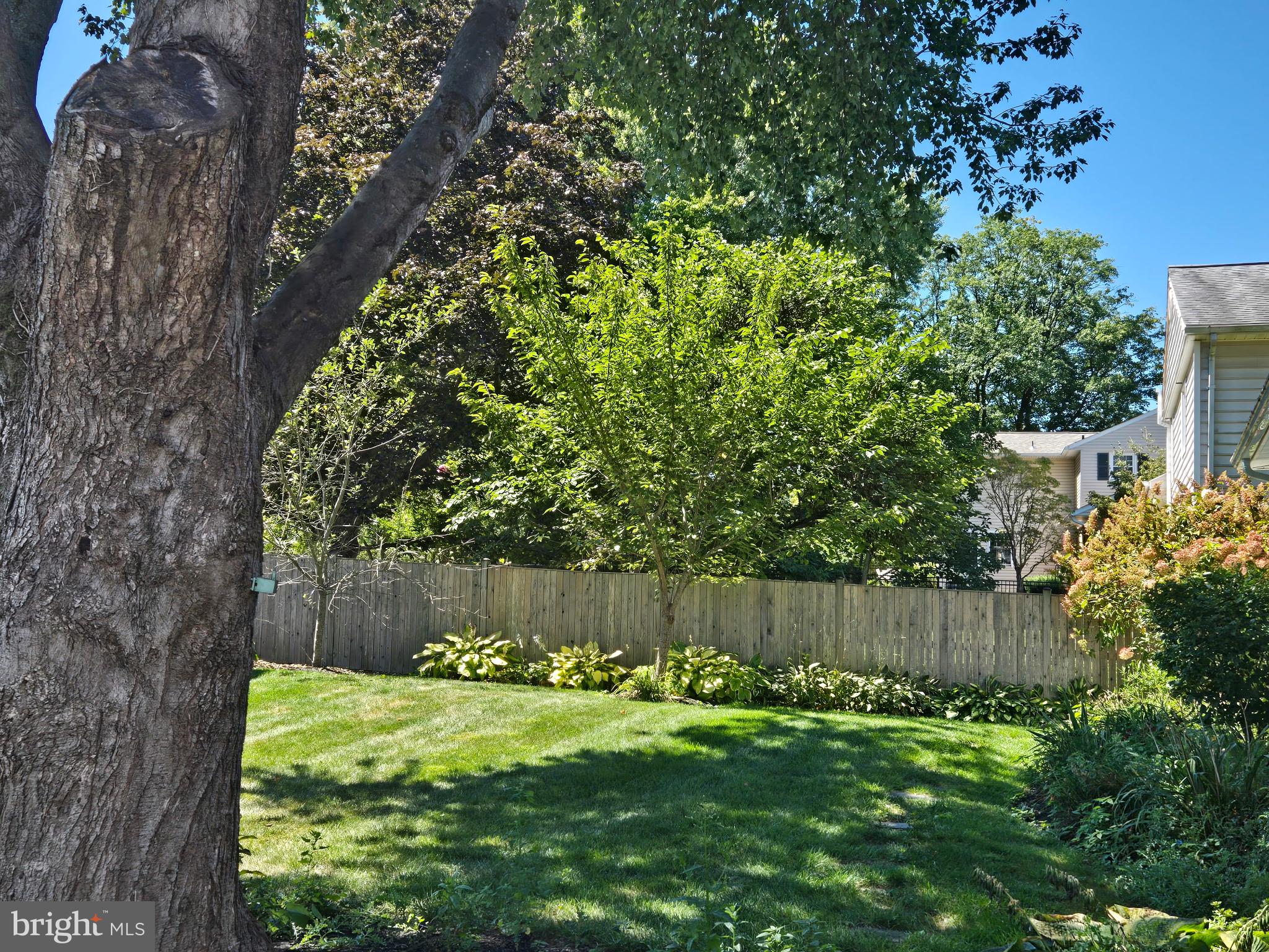 19321 Olney Mill Road Olney, MD 20832 - Photo 9 of 91 a view of a backyard with large tree and wooden fence