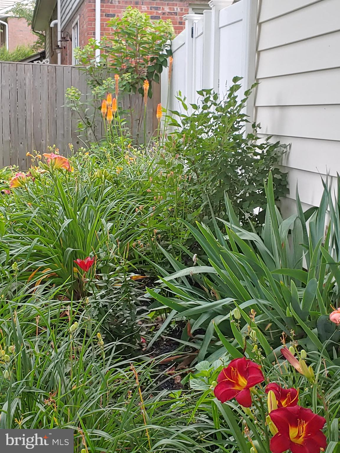 19321 Olney Mill Road Olney, MD 20832 - Photo 10 of 91 Rear Exterior Fully Landscaped Yard