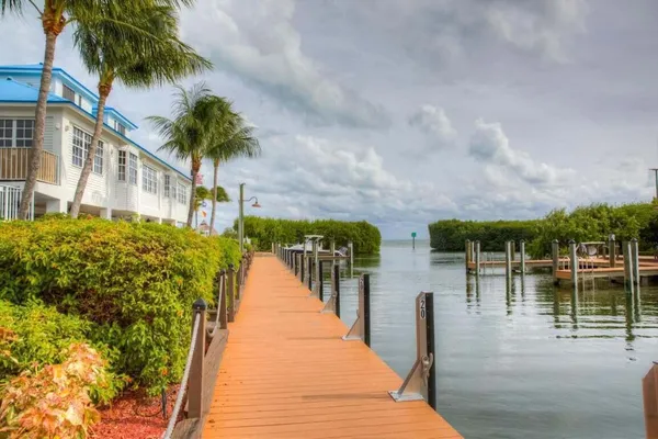 a view of a park with bench and some trees