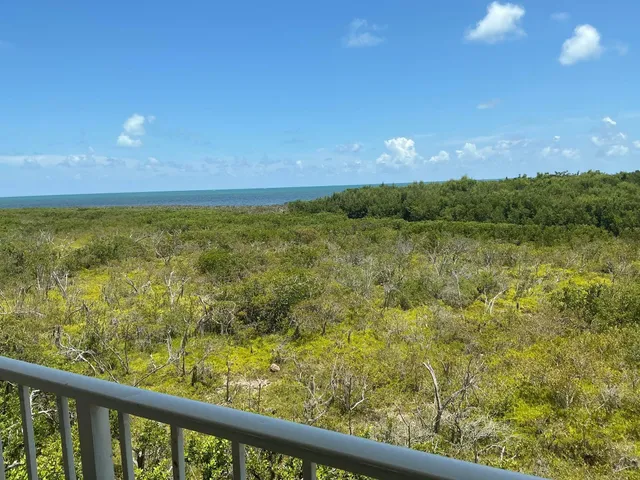 a view of a green yard next to a yard