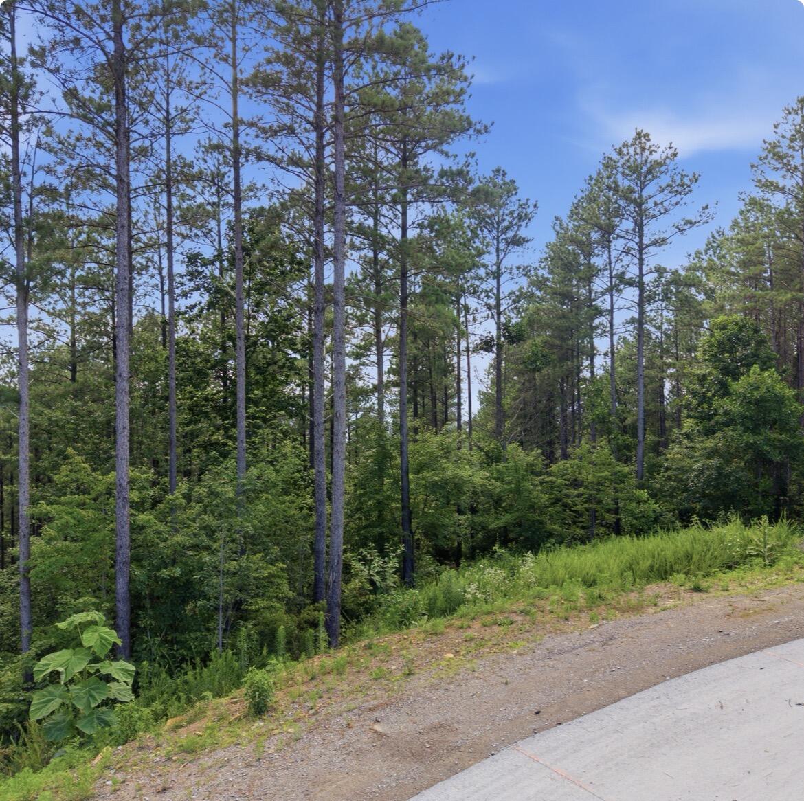 1141 Split Rail Way Guild, TN 37340 - Photo 2 of 12 Split Rail Way