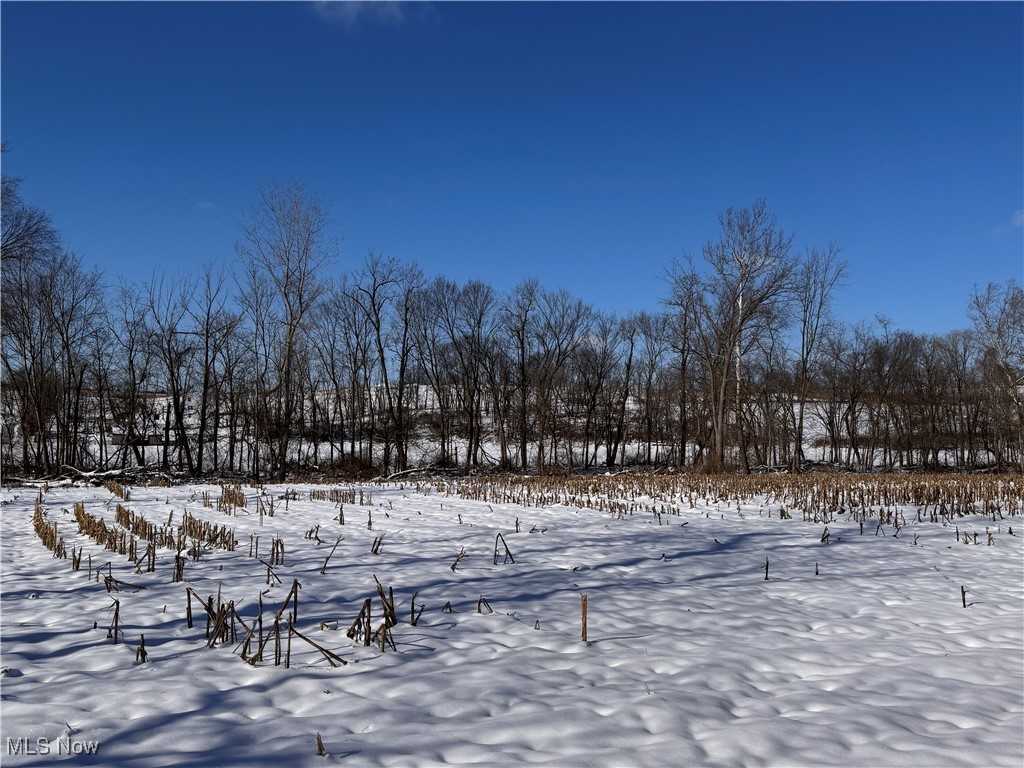 9602 Munson Road Wooster, OH 44691 - Photo 24 of 45 View of snowy yard