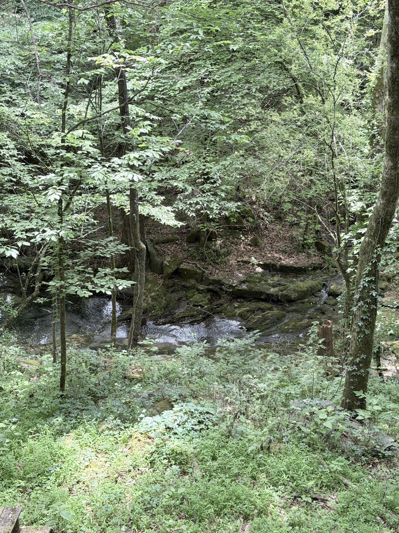 0 Hidden Valley Road Huntland, TN 37345 - Photo 17 of 17 Gallery Image 17