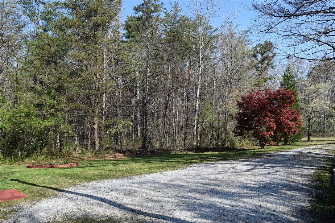 130 Apple Orchard Road Mountain Rest, SC 29664 - Photo 26 of 32 Well maintained yard with beautiful flowers and tr