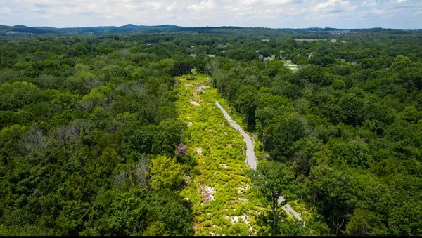 a view of a forest with a lush green forest