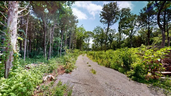 a view of path plants and trees