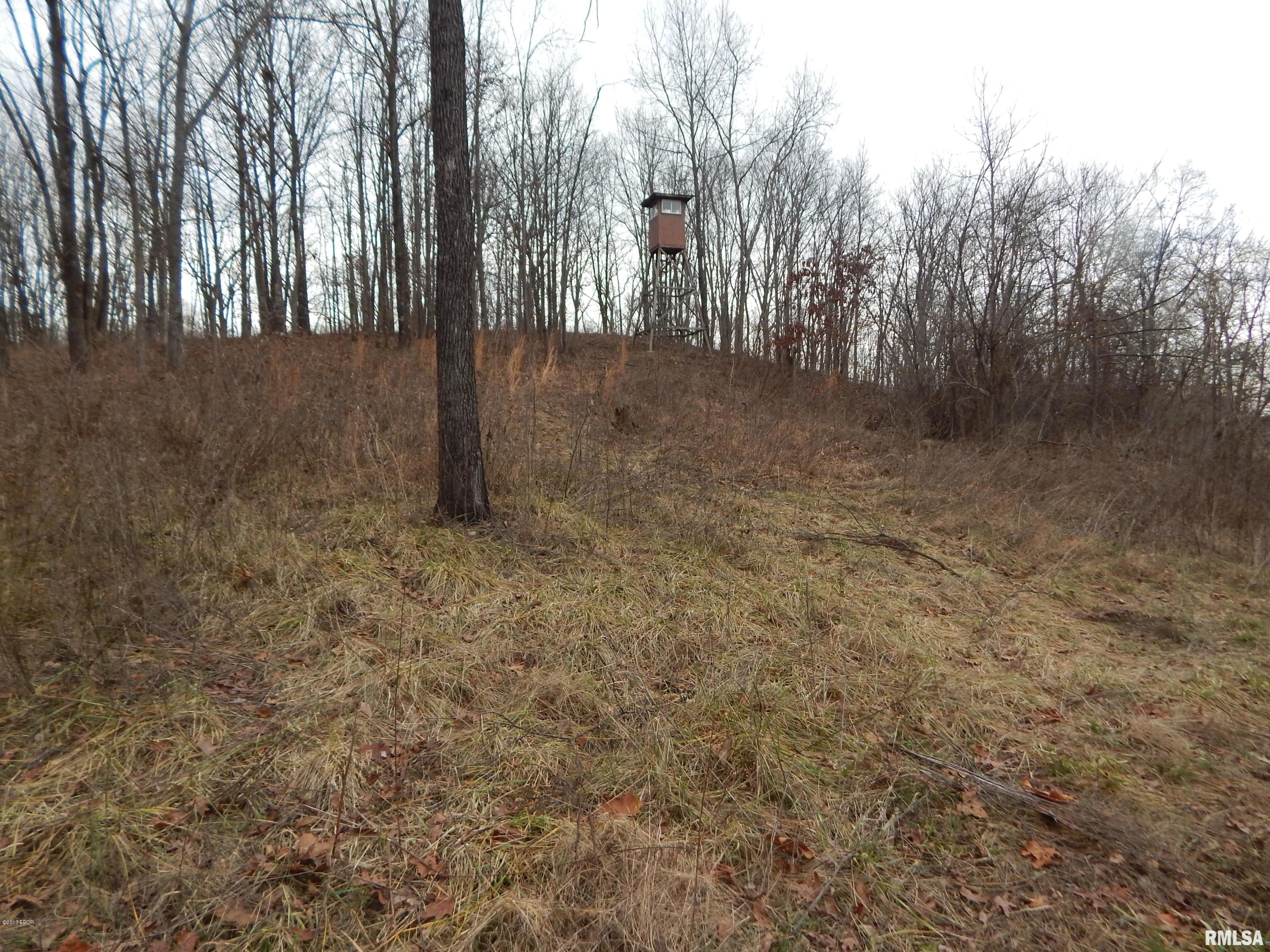 Xxx Hydrangea Road Coulterville, IL 62237 - Photo 11 of 13
