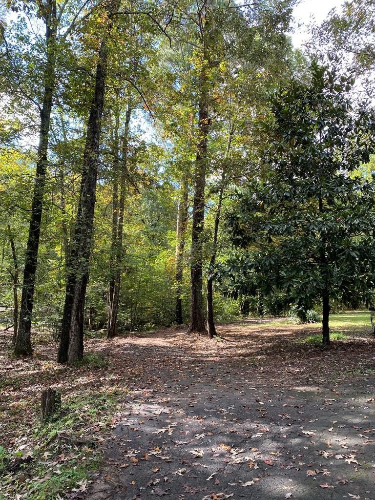 8693 Eureka Road Northwest Charleston, TN 37310 - Photo 22 of 35 a view of outdoor space with lots of trees