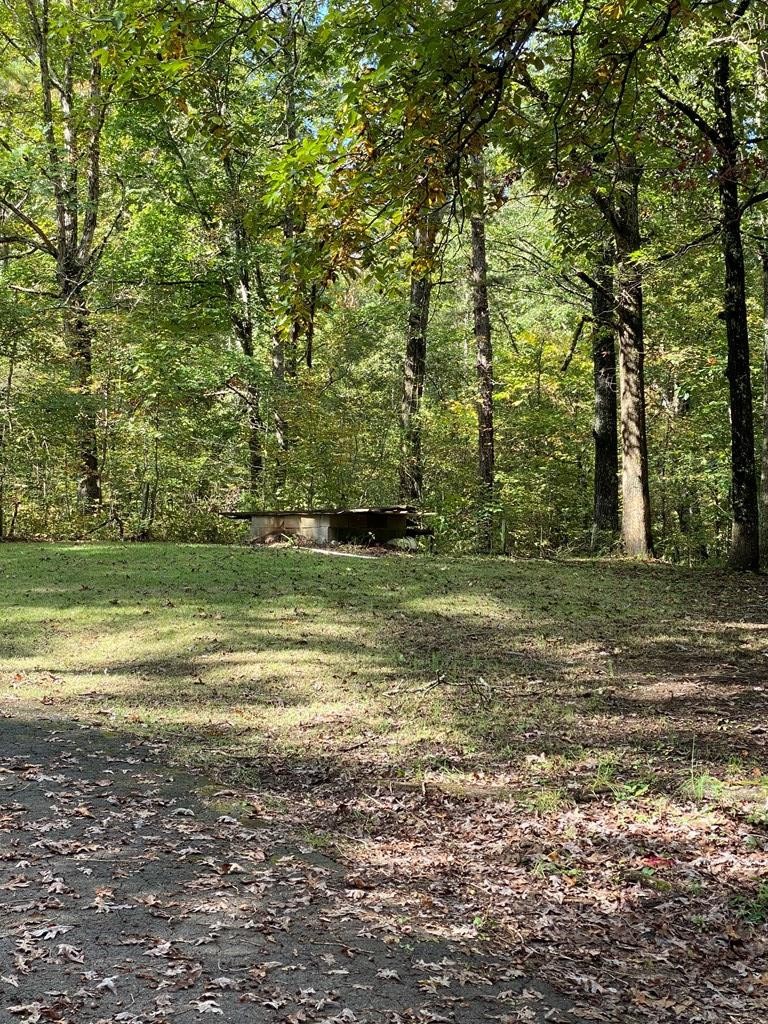 8693 Eureka Road Northwest Charleston, TN 37310 - Photo 23 of 35 a view of a field with an trees