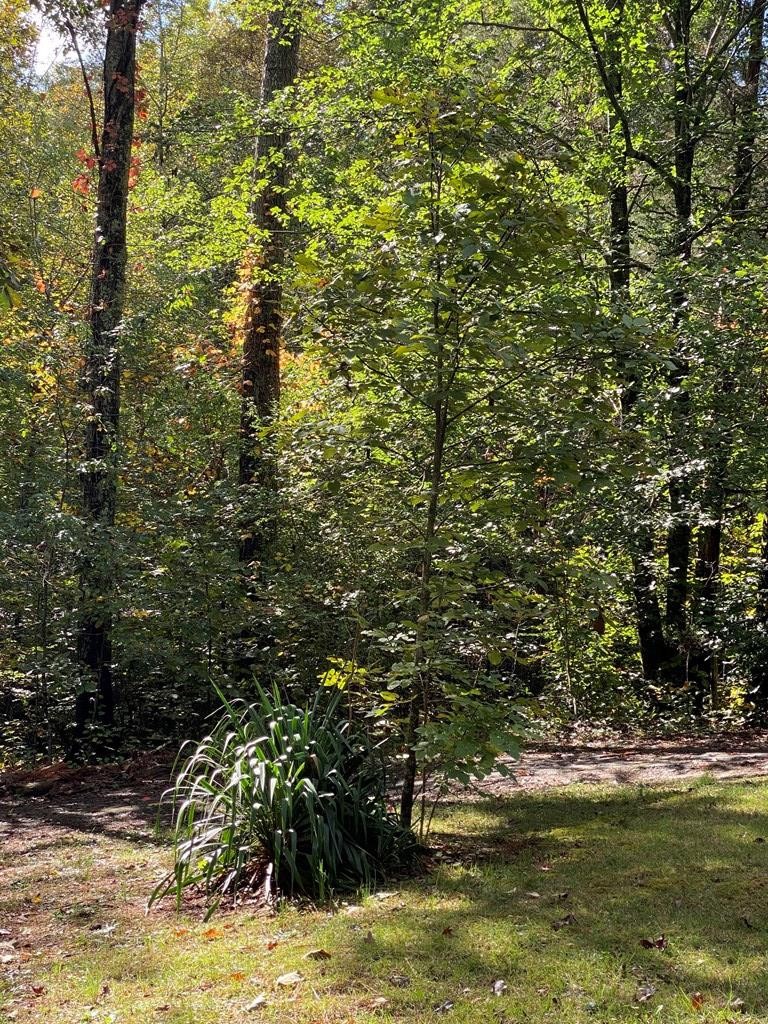 8693 Eureka Road Northwest Charleston, TN 37310 - Photo 24 of 35