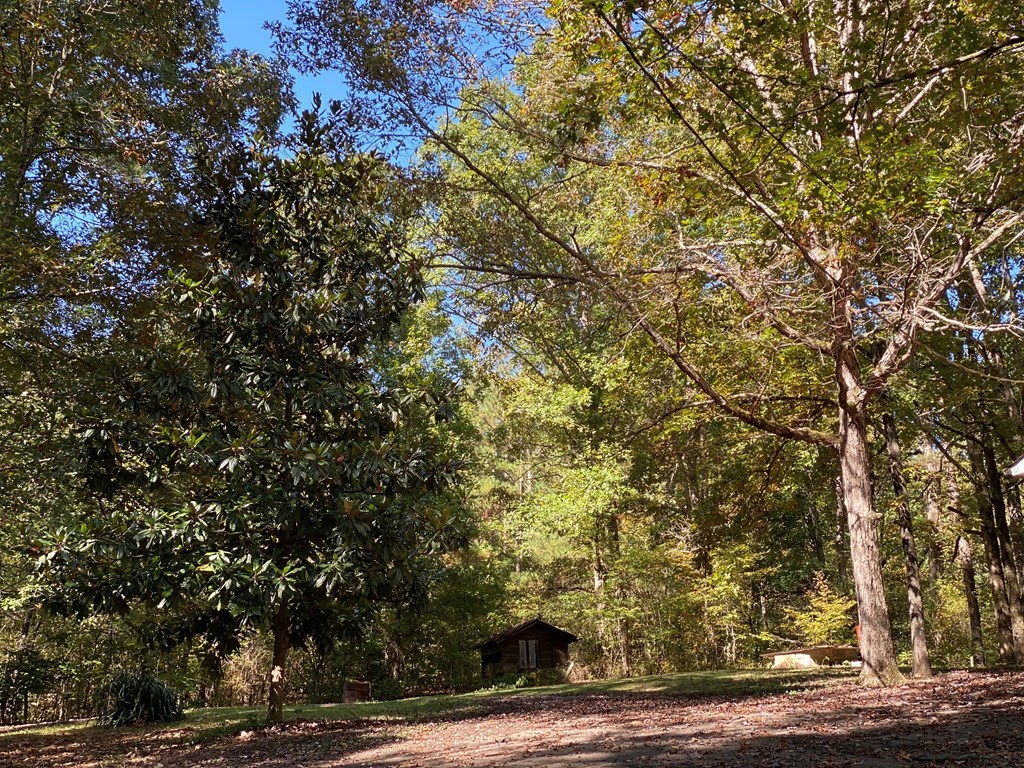 8693 Eureka Road Northwest Charleston, TN 37310 - Photo 27 of 35 a view of a plants and trees