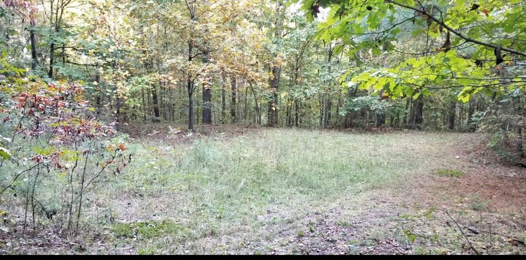 8693 Eureka Road Northwest Charleston, TN 37310 - Photo 31 of 35 a view of a large yard with lots of green space