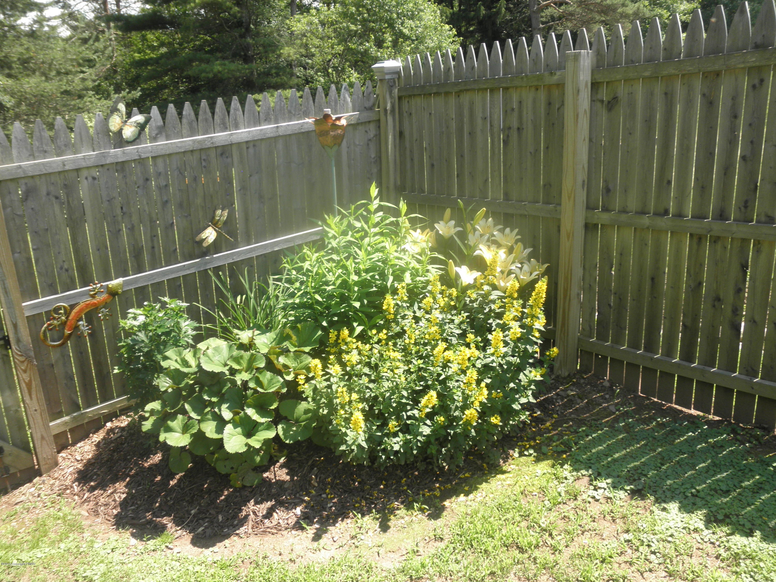 1222 Spring Run Road Saylorsburg, PA 18353 - Photo 50 of 55 Backyard