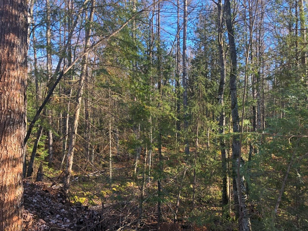 Off East Bay Road, Unit LOT 5 Presque Isle, WI 54557 - Photo 23 of 29 Gallery Image 23