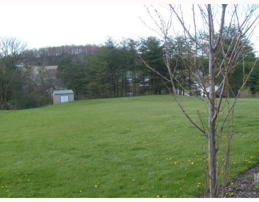 36 Erie Mine Road Burgettstown, PA 15021 - Photo 18 of 18 Yard/Garden.