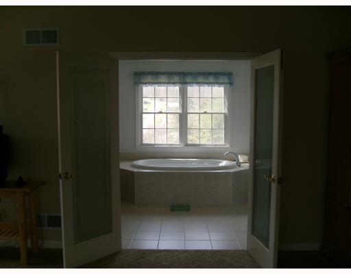 36 Erie Mine Road Burgettstown, PA 15021 - Photo 9 of 18 Master Bath/Spa.