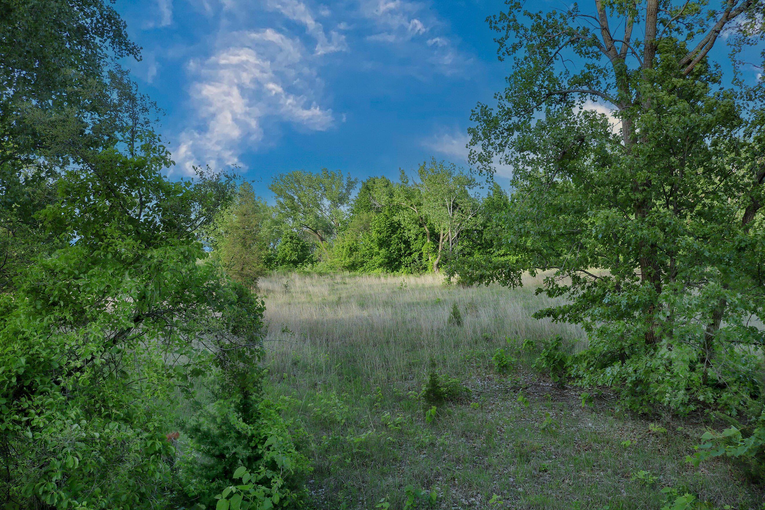 1200-02 North County Line Road Gary, IN 46403 - Photo 11 of 37 a view of a garden with a lake