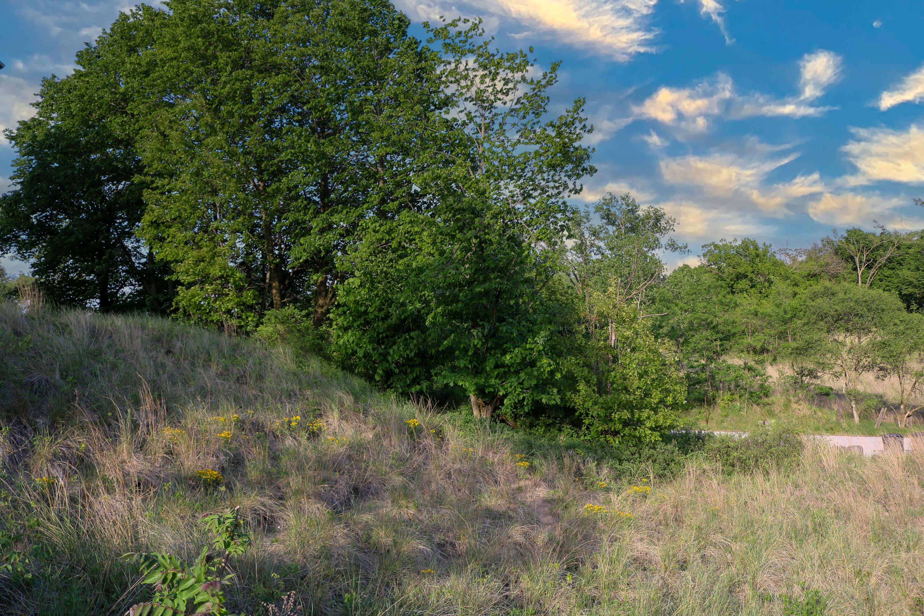 1200-02 North County Line Road Gary, IN 46403 - Photo 12 of 37 a view of a lush green forest with lots of trees