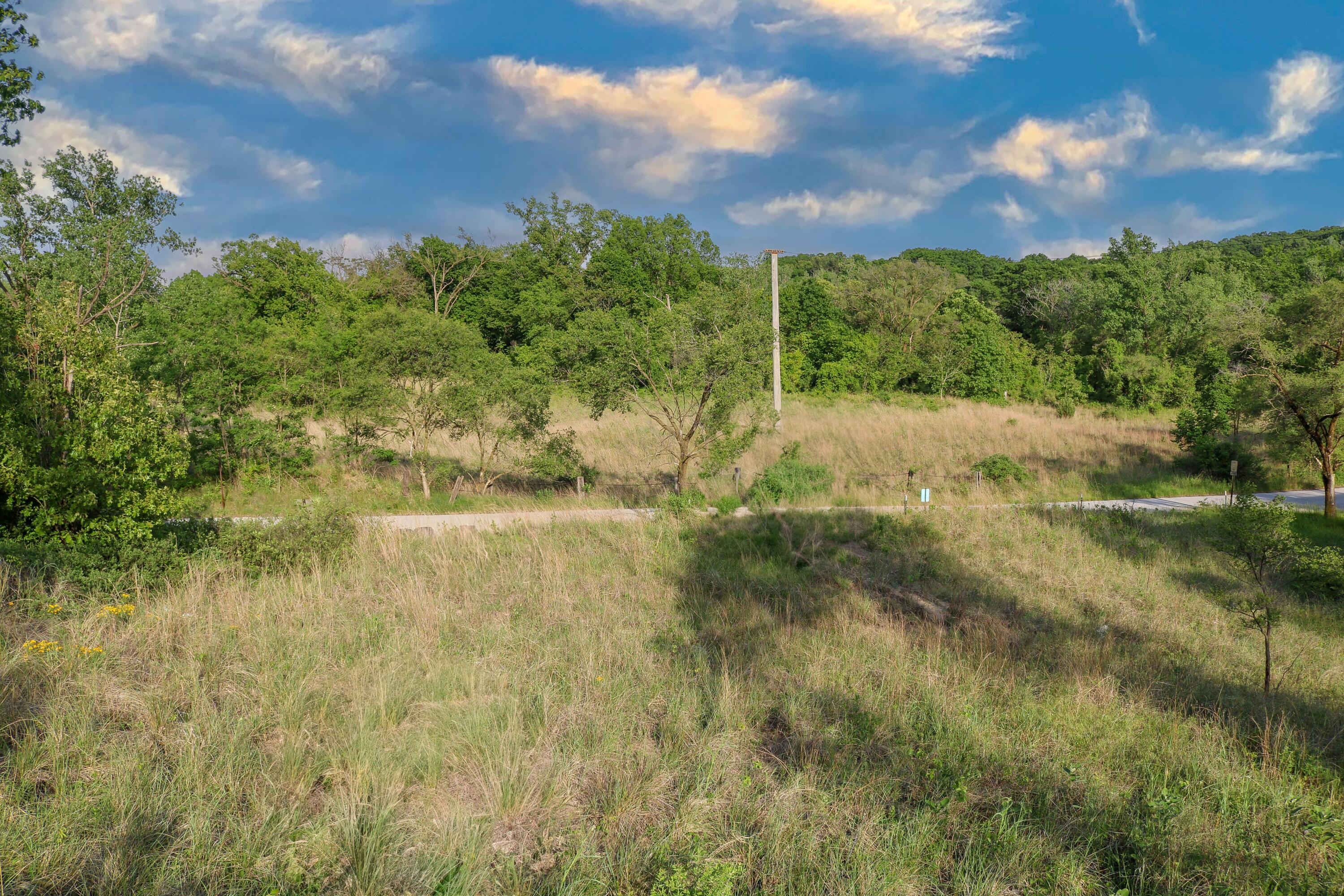 1200-02 North County Line Road Gary, IN 46403 - Photo 13 of 37 a view of a garden with plants and large trees
