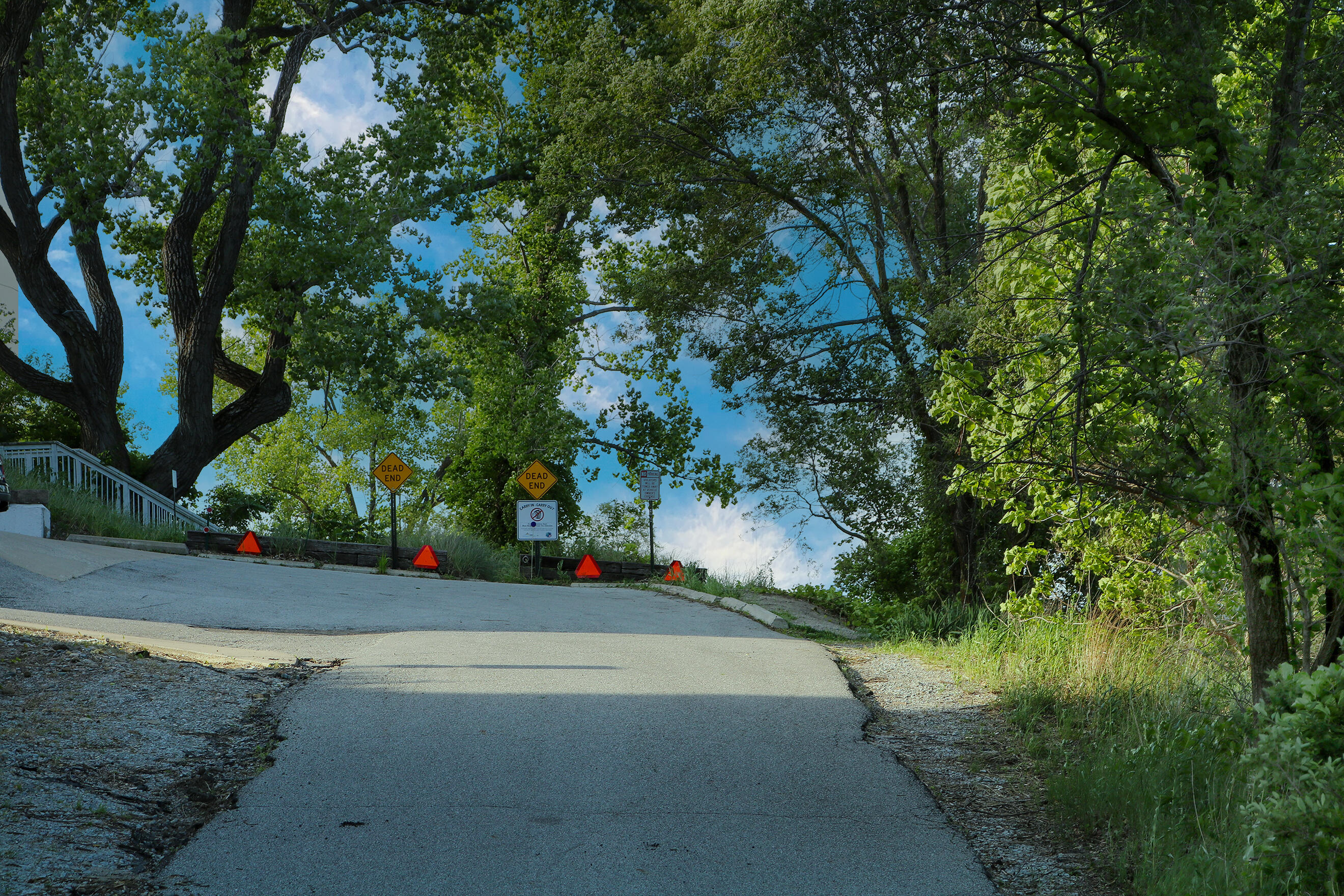 1200-02 North County Line Road Gary, IN 46403 - Photo 15 of 37 a view of a park that has a tree on the side of it