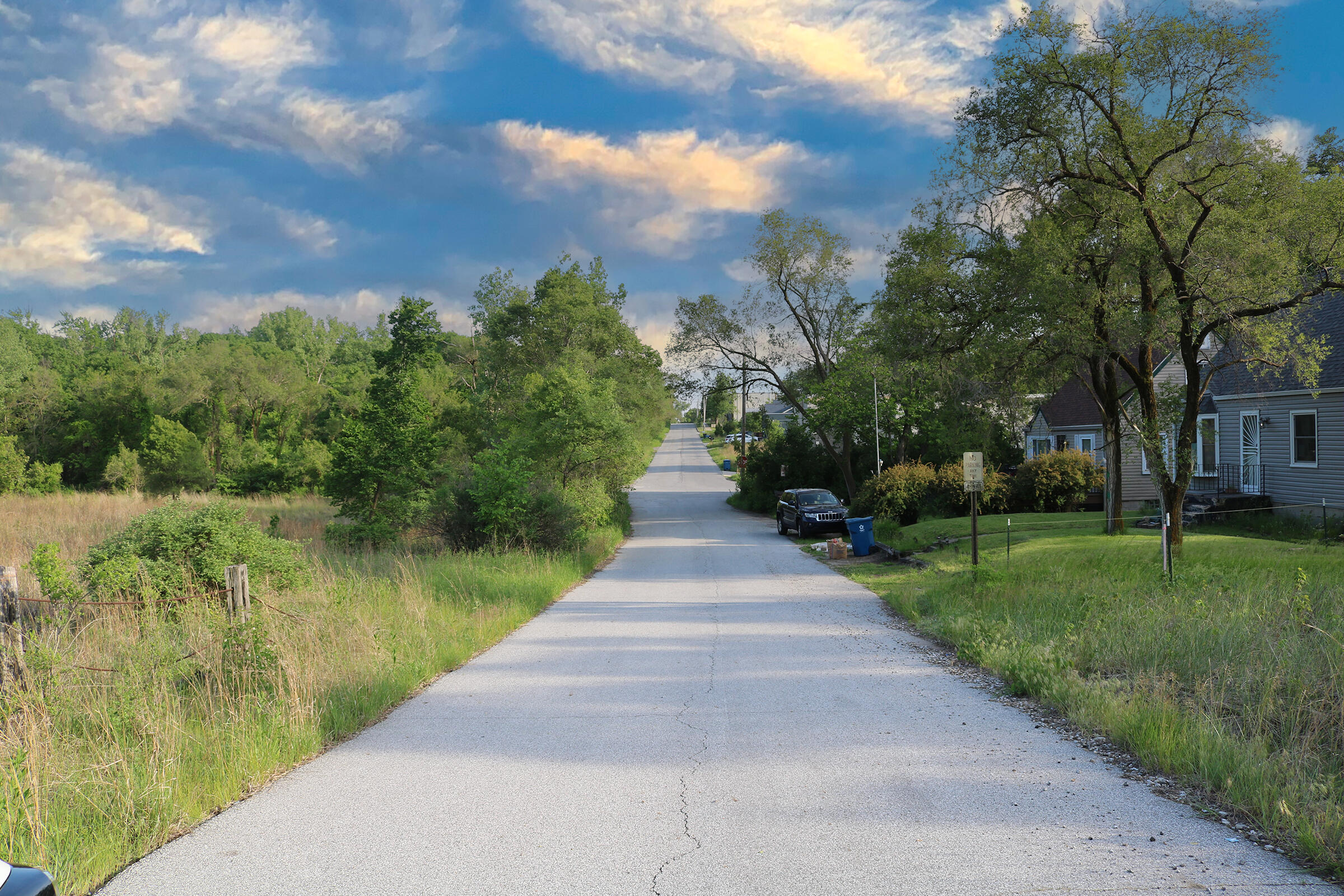 1200-02 North County Line Road Gary, IN 46403 - Photo 17 of 37 a view of park with large tree