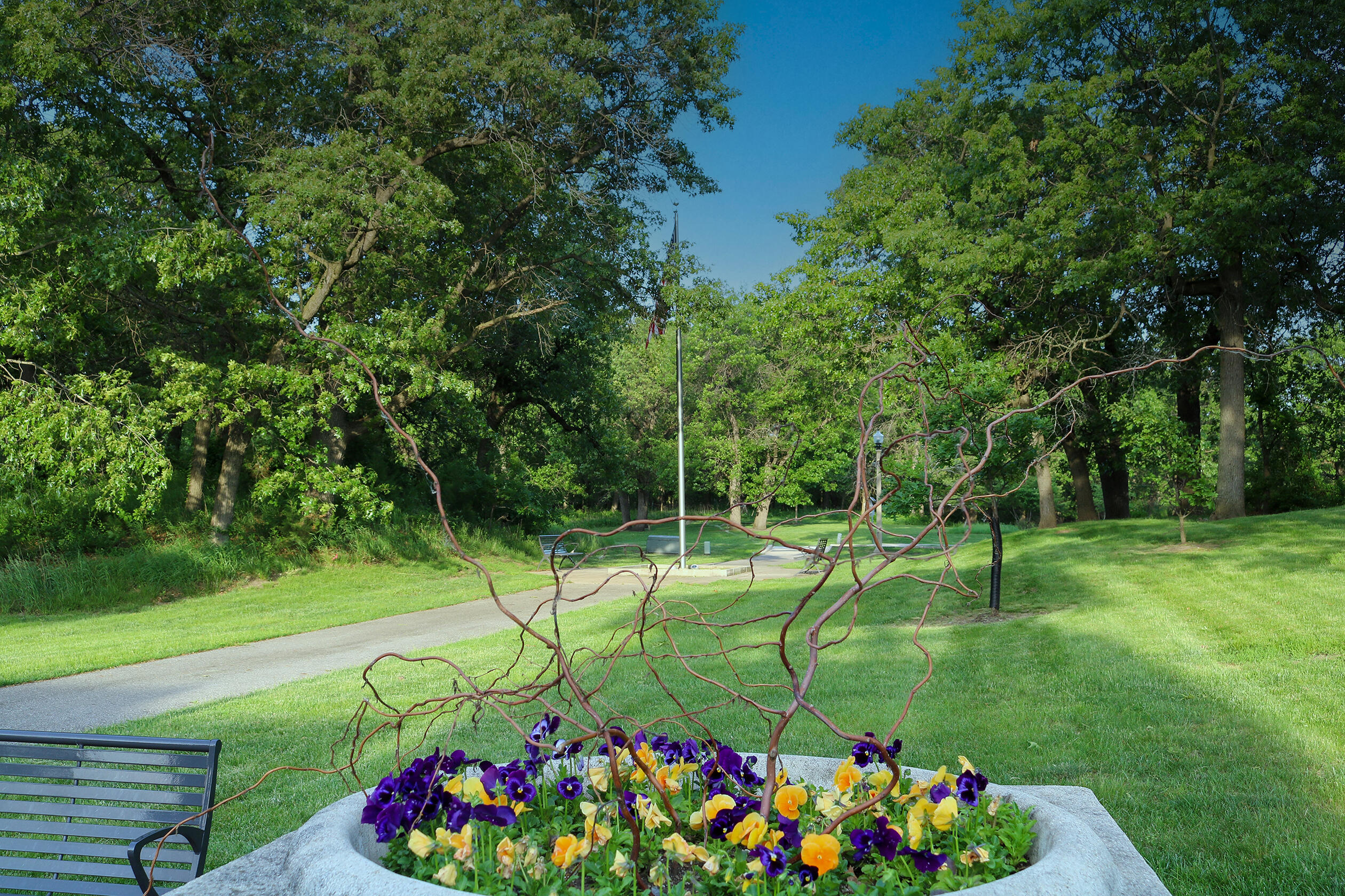 1200-02 North County Line Road Gary, IN 46403 - Photo 25 of 37 a view of a park with plants