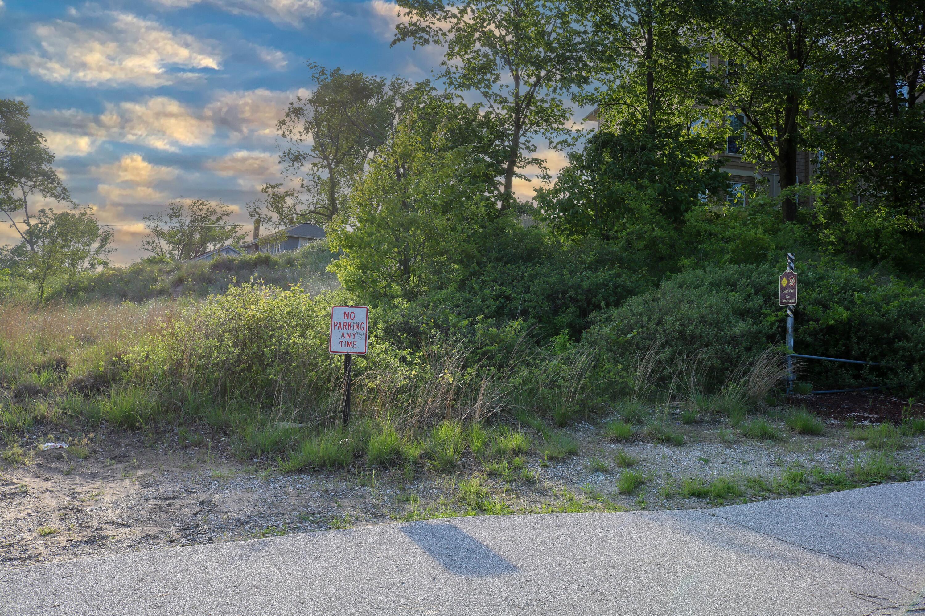 1200-02 North County Line Road Gary, IN 46403 - Photo 3 of 37 a view of a forest with a tree