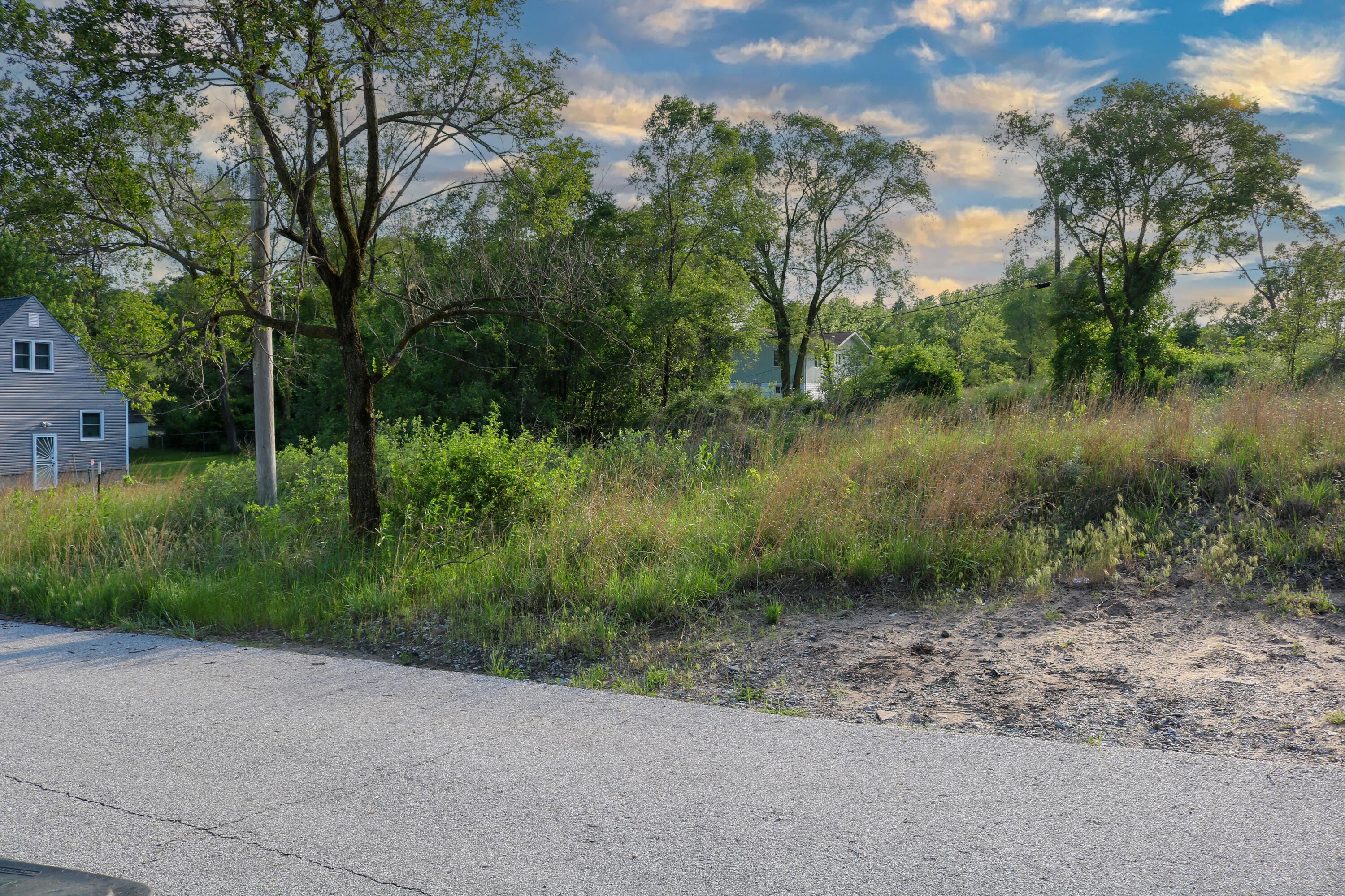 1200-02 North County Line Road Gary, IN 46403 - Photo 4 of 37 a view of a lush green forest