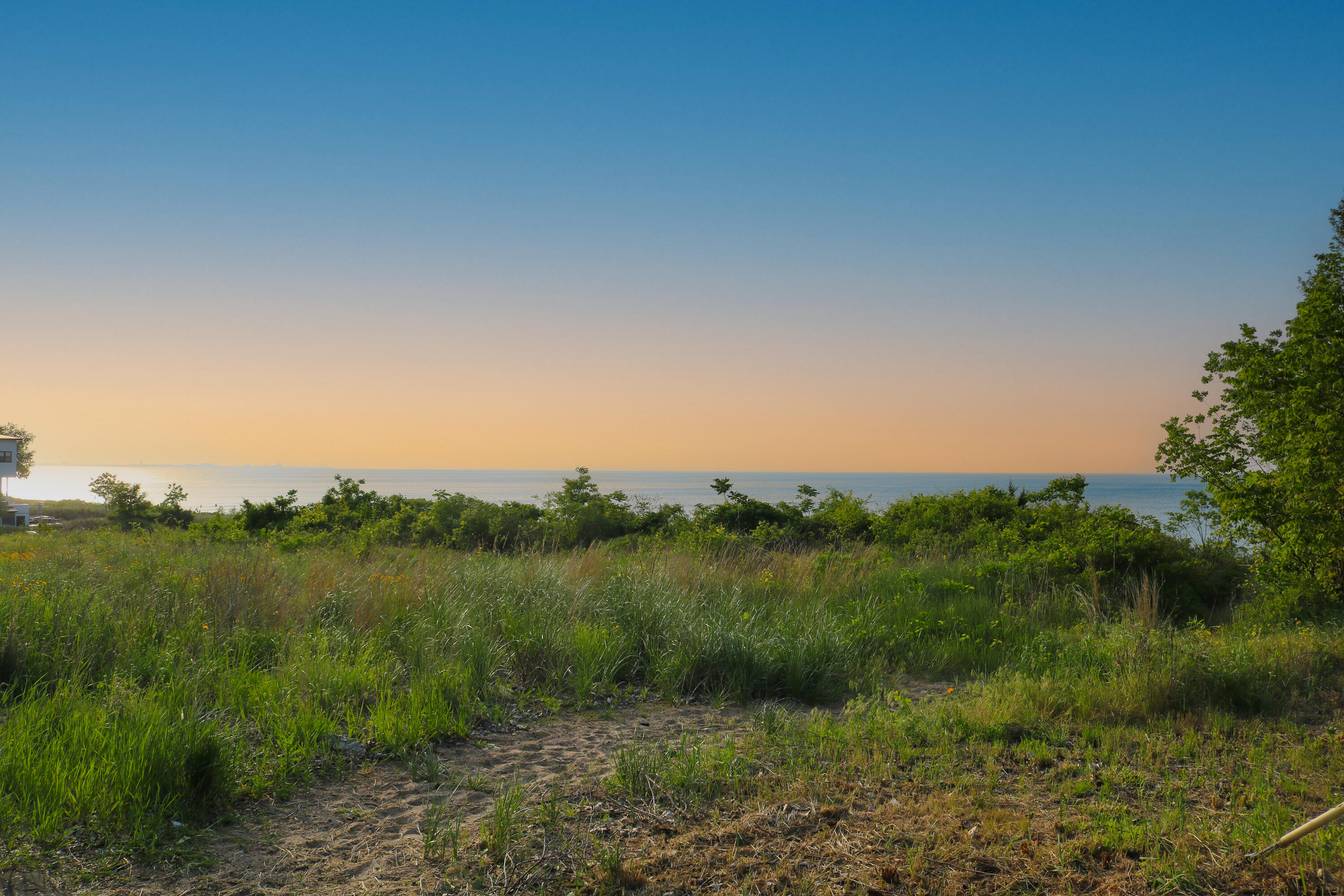 1200-02 North County Line Road Gary, IN 46403 - Photo 9 of 37 a view of a big yard with plants and large trees