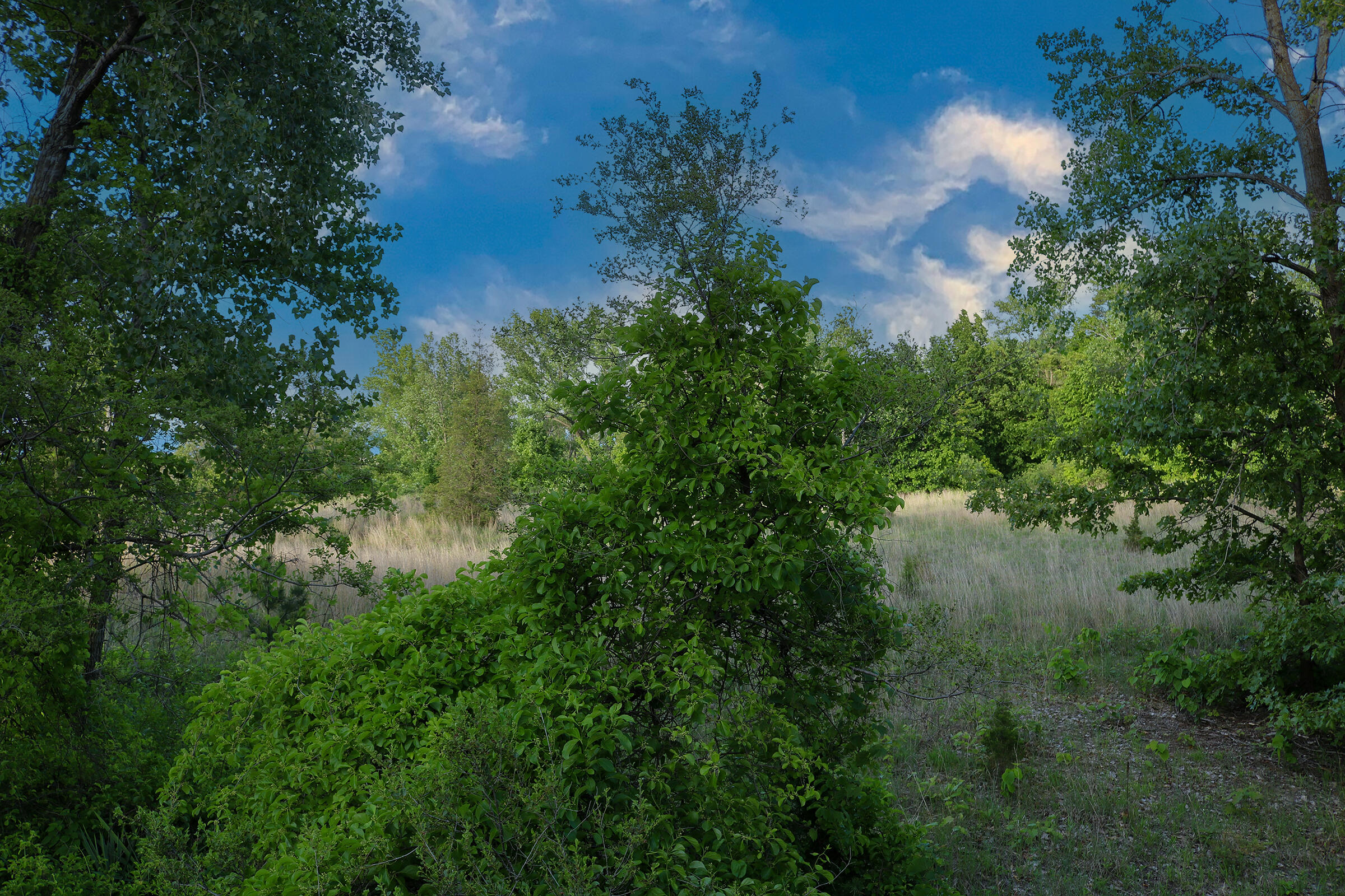 1200-02 North County Line Road Gary, IN 46403 - Photo 10 of 37 a view of a yard