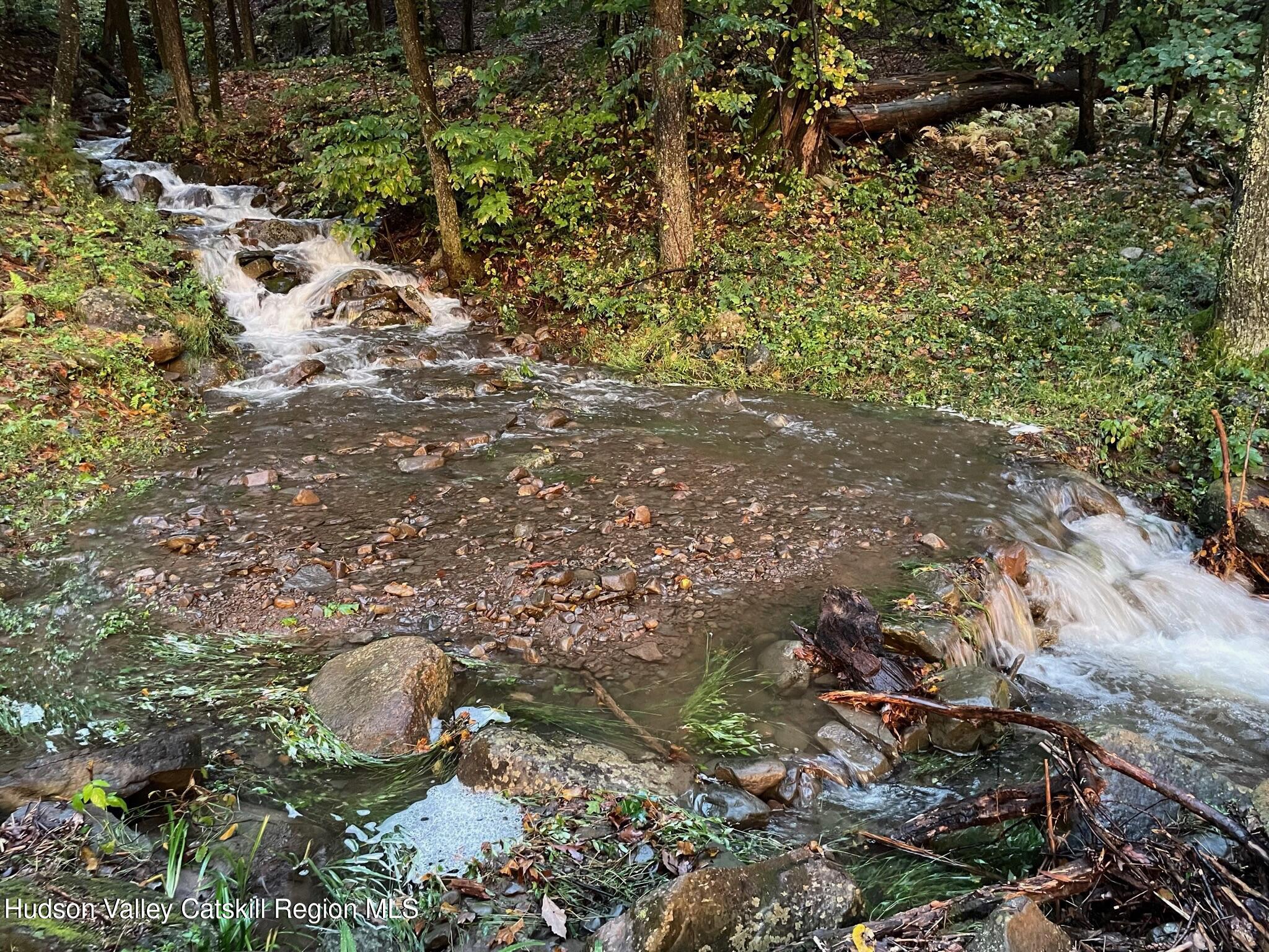 26 Carle Road Mount Tremper, NY 12457 - Photo 34 of 65 IMG_2503