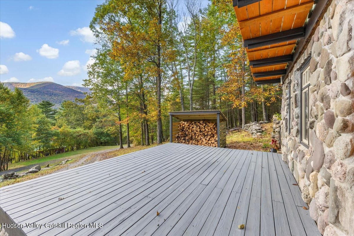 26 Carle Road Mount Tremper, NY 12457 - Photo 42 of 65 29-Deck w_ Mountain View