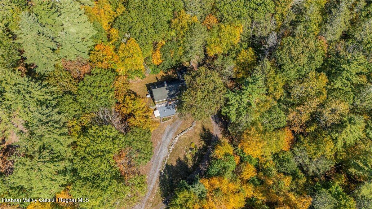 26 Carle Road Mount Tremper, NY 12457 - Photo 56 of 65 40-Drone Photography