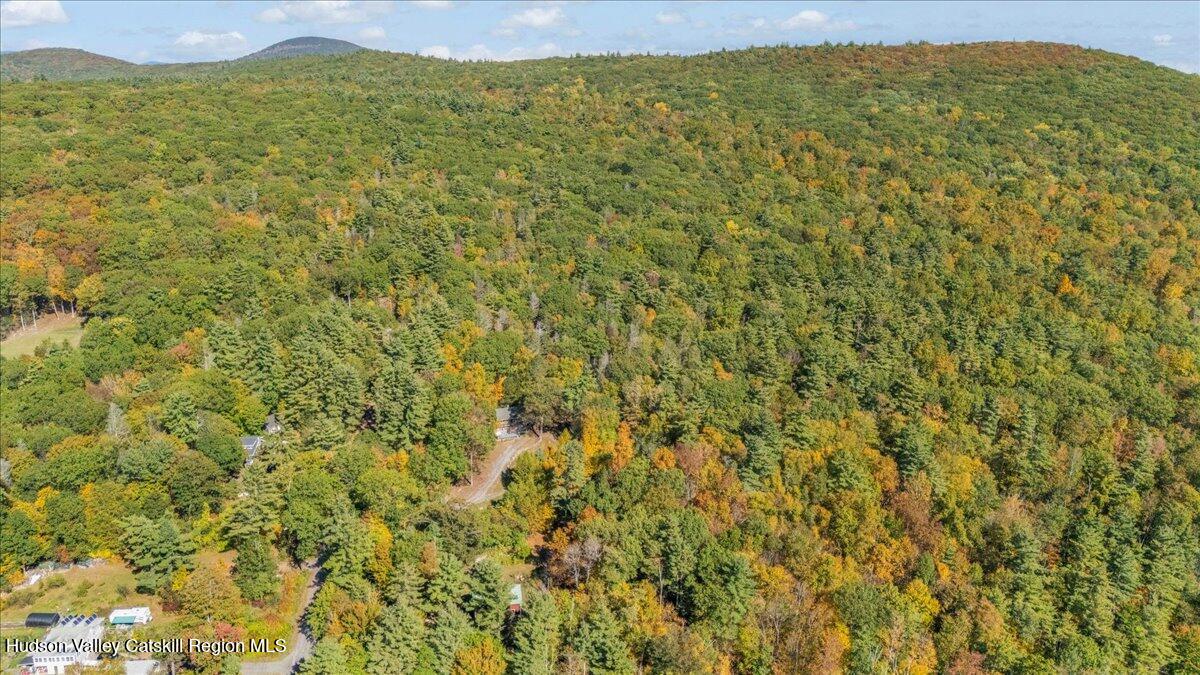 26 Carle Road Mount Tremper, NY 12457 - Photo 58 of 65 42-Drone Photography